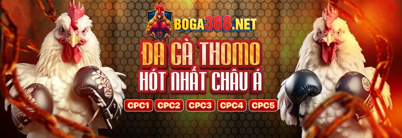 Đá Gà Trực Tuyến XI88 Kịch Tính