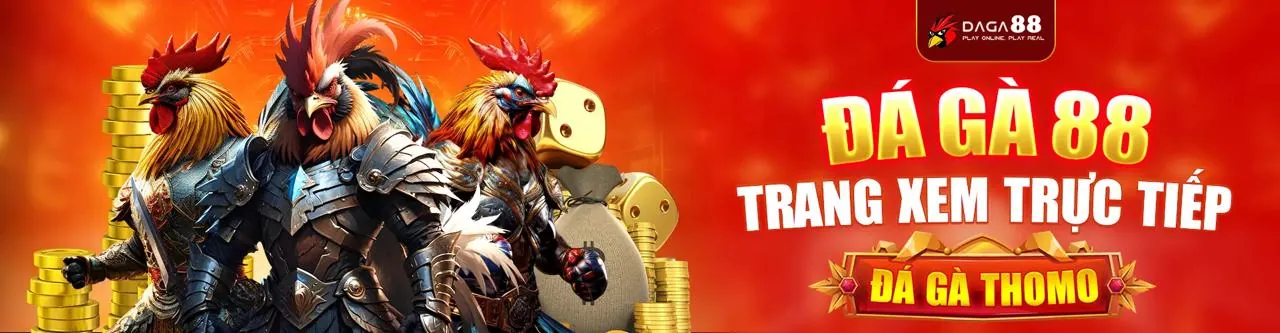 Thưởng nạp lại hàng ngày cho đá gà